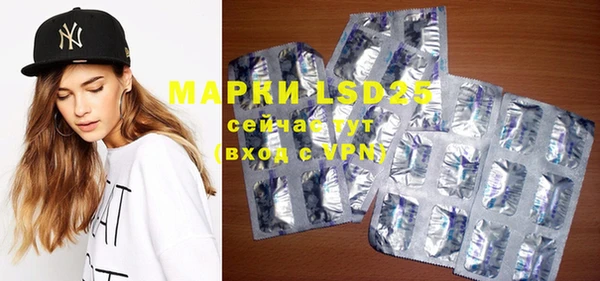 амф Кулебаки