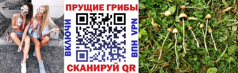 Псилоцибиновые грибы ЛСД  Купить  Ростов-на-Дону